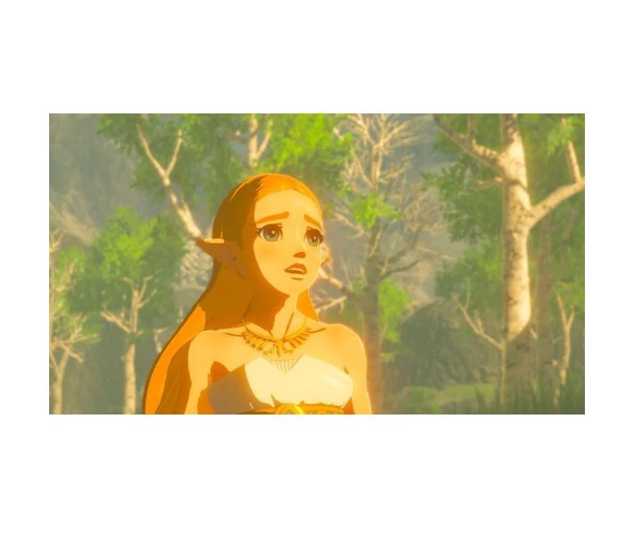 Фото - игровую консоль Nintendo Switch Lite Gray + The Legend of Zelda: Breath of the Wild