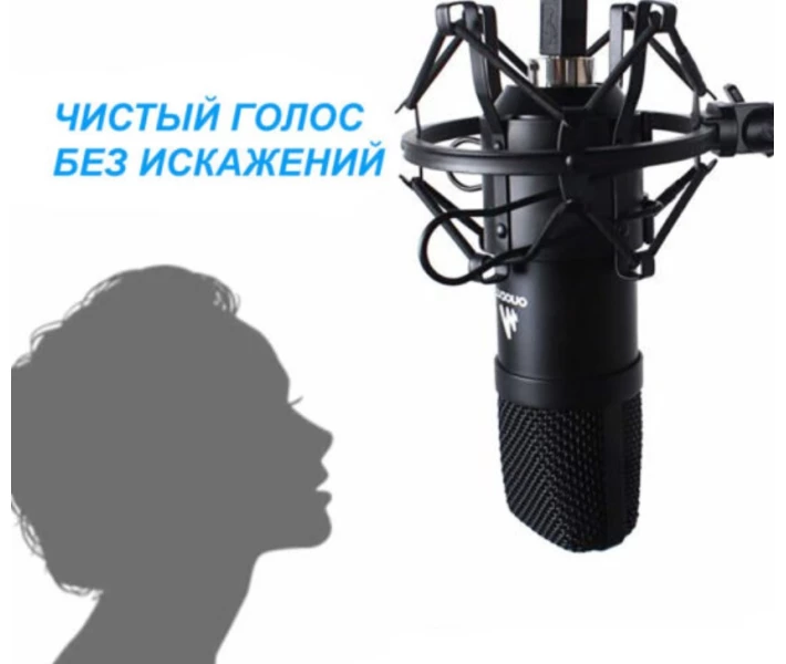 Фото - микрофон для караоке 2E Maono AU-A04 Kit USB (2E-MPC011)