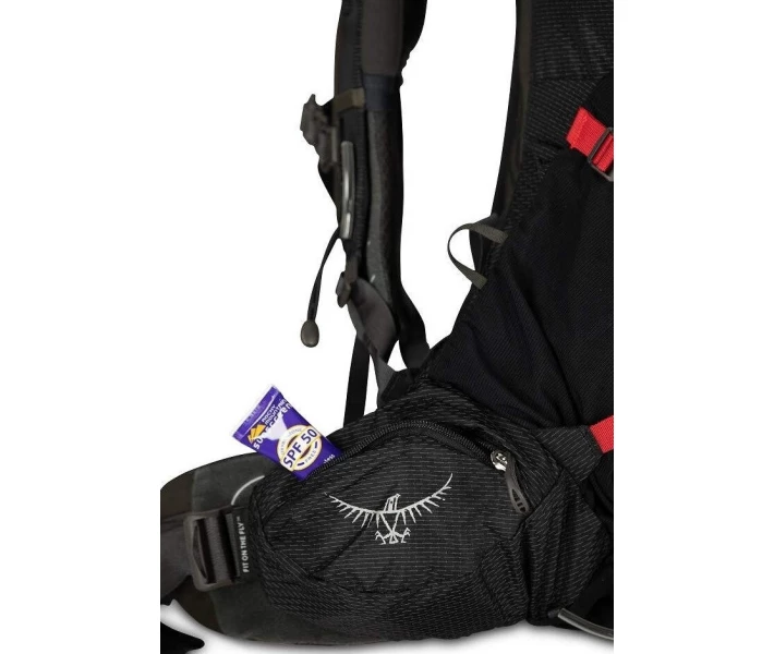Фото - рюкзак Рюкзак Osprey Aether Plus 60 Axo Green - L/XL (009.2441)