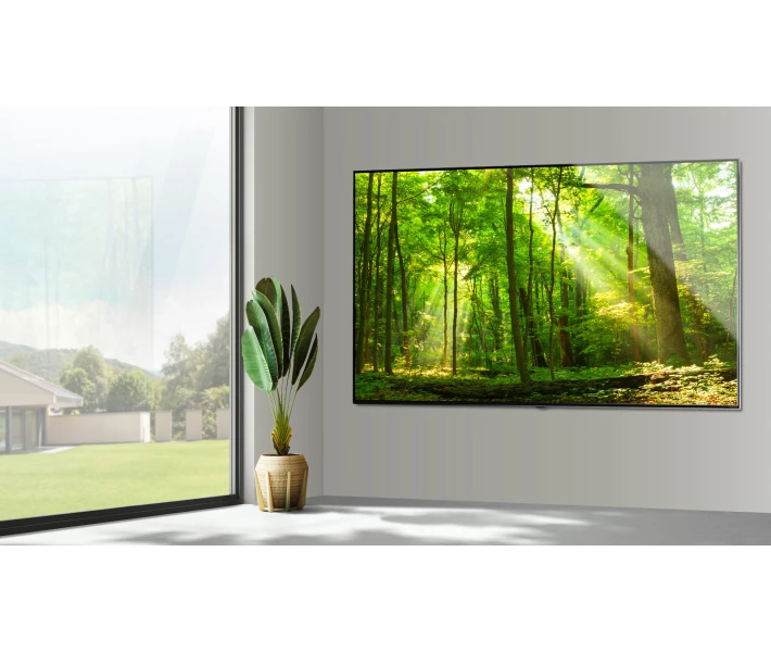 Фото - телевизор Телевизор 65" LG 65NANO866PA Black