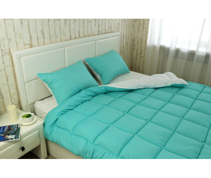 Фото - одеяло Набор Руно Одеяло 140х205 Mint+подушка 50х70 (АЛ924.52_Mint White)