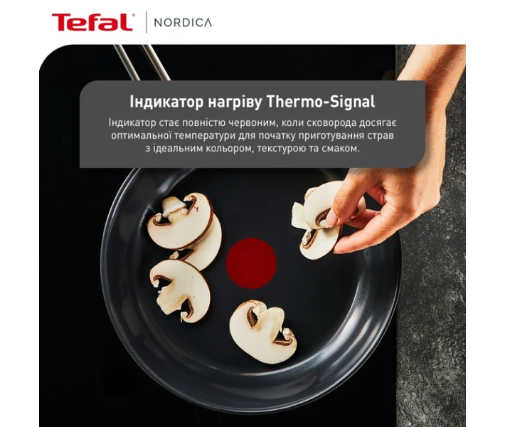 Фото - сковороду Сковорода Tefal Nordica, 20см, нержавеющая сталь (H8710255)