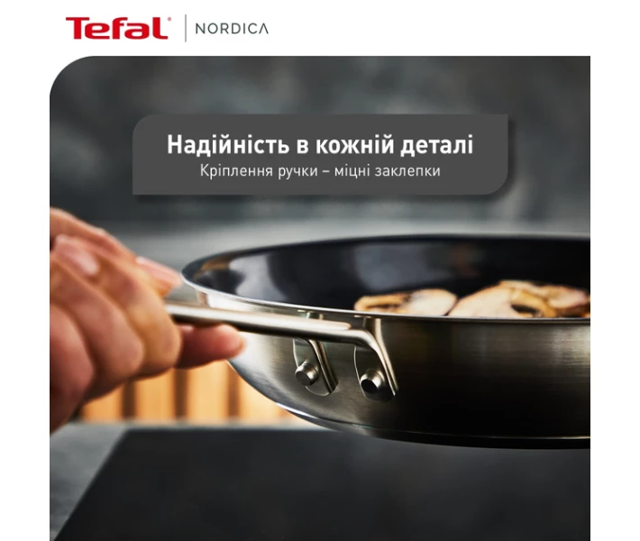 Фото - сковороду Сковорода Tefal Nordica, 20см, нержавеющая сталь (H8710255)