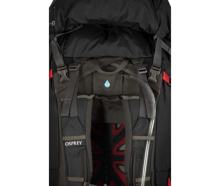 Фото - рюкзак Рюкзак Osprey Aether Plus 60 Axo Green - L/XL (009.2441)