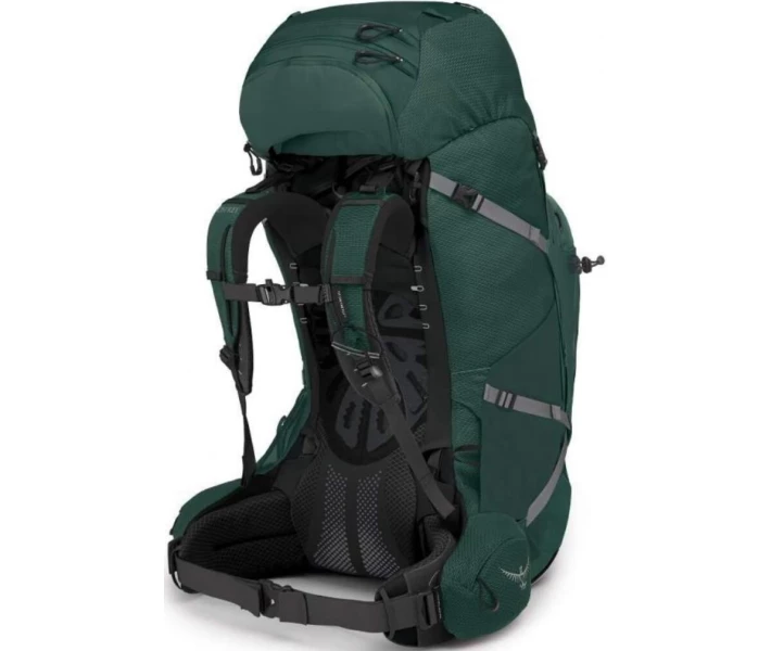 Фото - рюкзак Рюкзак Osprey Aether Plus 85 Axo Green - L/XL (009.2429)
