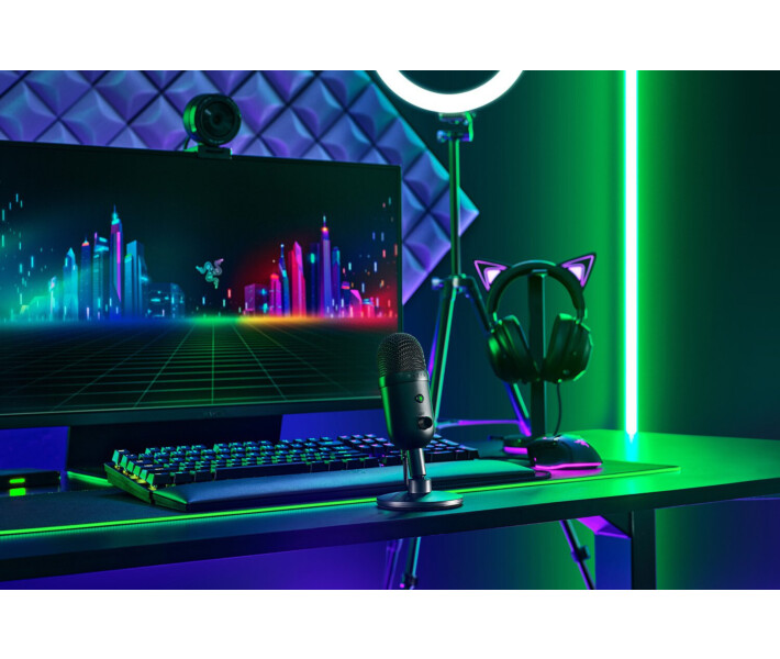 Фото - микрофон для караоке Микрофон RAZER Seiren V2 X (RZ19-04050100-R3M1)