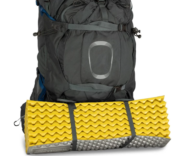 Фото - рюкзак Рюкзак Osprey Aether Plus 60 Axo Green - L/XL (009.2441)
