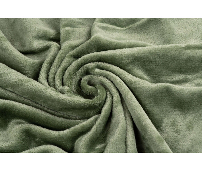Фото - плед Плед Ardesto Flannel, 160х200см, зеленый, 100% полиэст (ART0209SB)