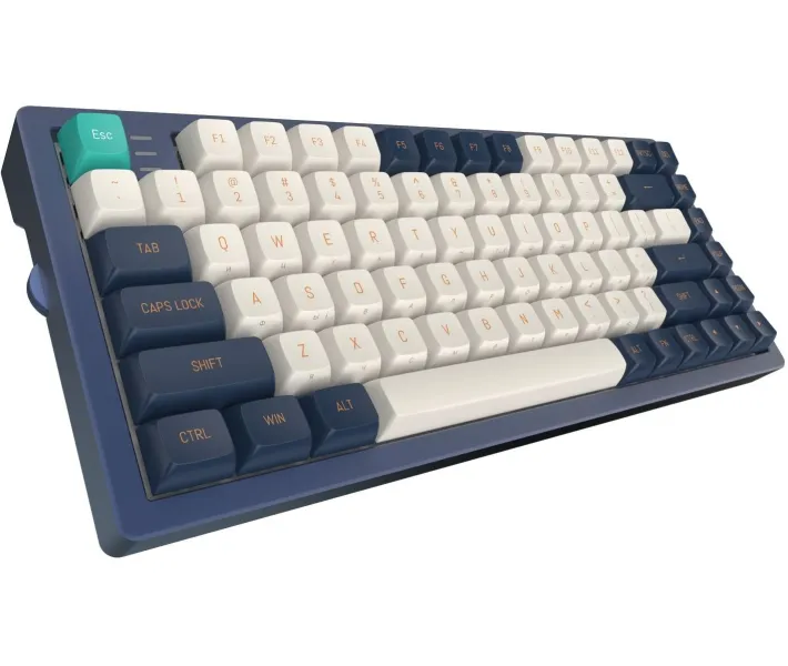 Клавиатура игровая Dark Project KD83A Mech. Gateron Cap Teal (KB