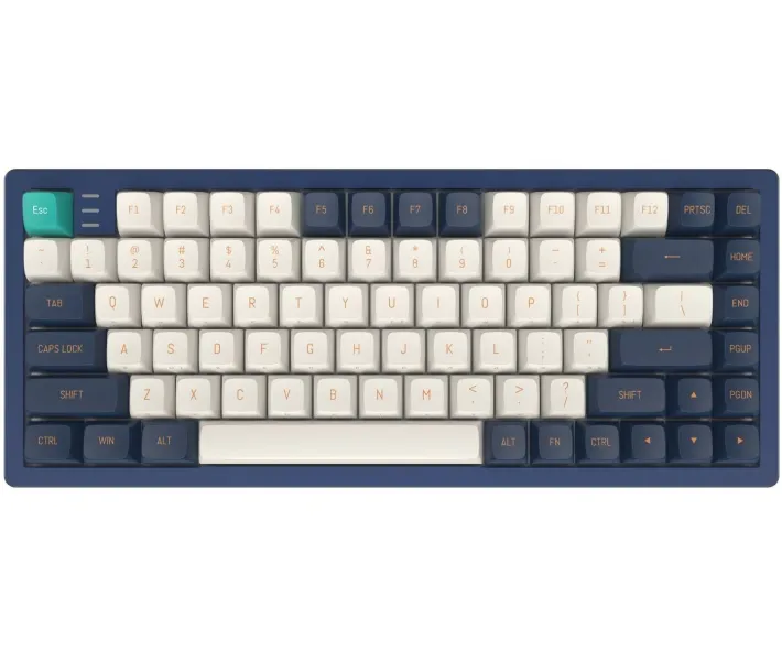 Клавиатура игровая Dark Project KD83A Mech. Gateron Cap Teal (KB