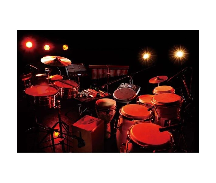 Фото - электронную ударную установку Электронная перкуссия Roland HandSonic HPD-20