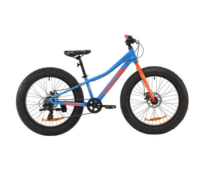 Фото - велосипед и аксессуар 24" FORMULA PALADIN DD 2020, х12 Рама, Синий с красным, ES1138