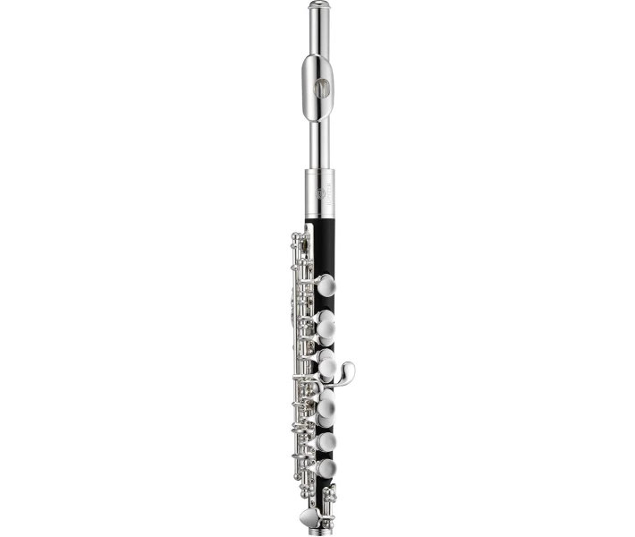 Фото - флейту Флейта Jupiter JPC1000E