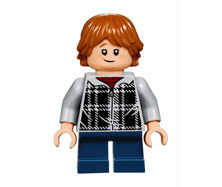 Фото - детский конструктор LEGO Harry Potter Хогвартс-экспресс (75955)