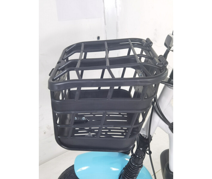 Фото - электроскутеры Электроскутер Двухместный FADA LiDO (450W,48V,12Ah) Голубой