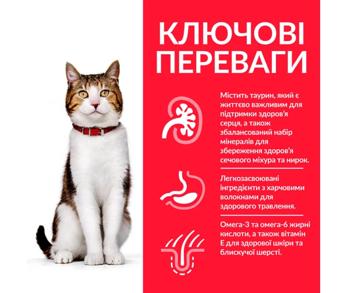 Фото - корм для кота Корм Hill's Science Plan Feline Mature Adult 7+ сухой с курицей для взрослых котов 10 кг