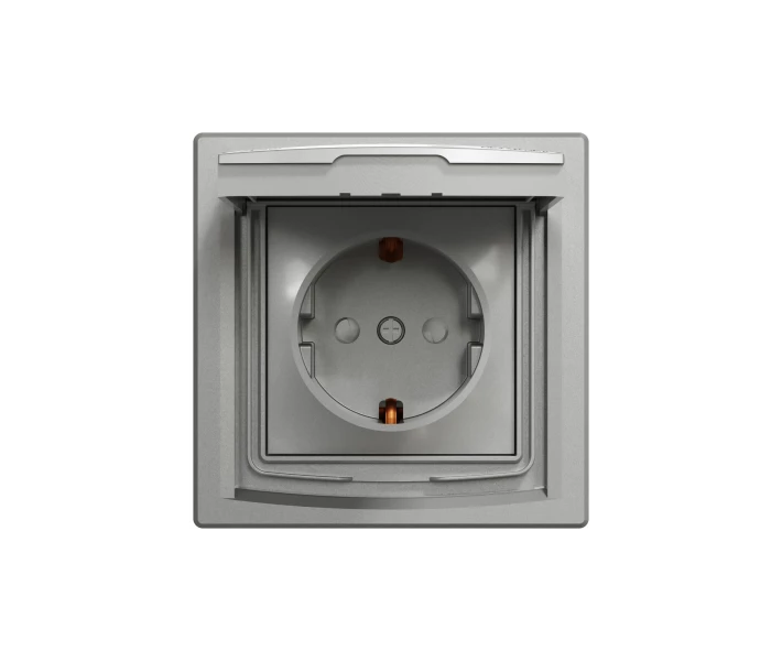 Фото - розетку и выключатель Розетка Schneider Electric ASFORA с крышкой IP44, алюминий (EPH3100361)