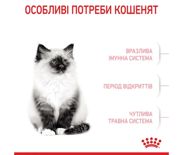 Фото - корм для кота Корм Royal Canin Kitten сухой для кошек 0.4 кг (3182550702379)