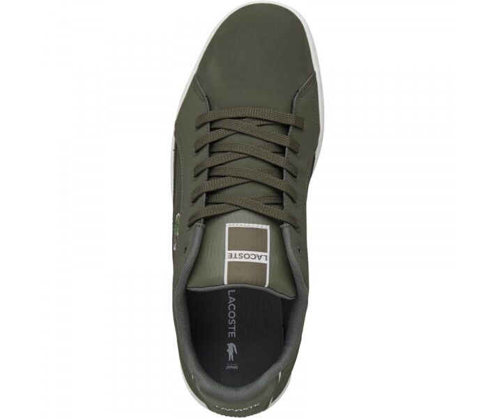 lacoste deviation ii khaki