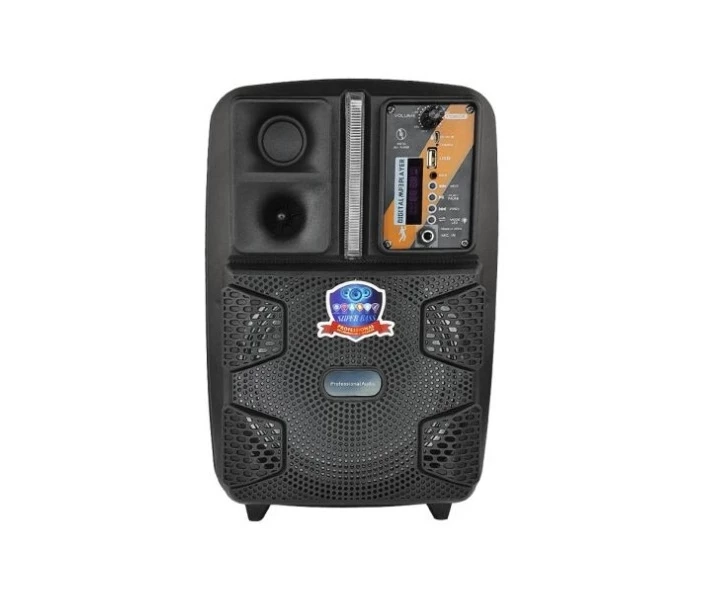 Фото - портативную колонку Колонка Big PK-16 bluetooth + микрофон (198х158х320) USB/MO3/FM/TWS black (121615)