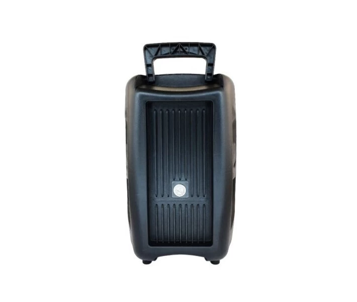 Фото - портативную колонку Колонка Big PK-16 bluetooth + микрофон (198х158х320) USB/MO3/FM/TWS black (121615)