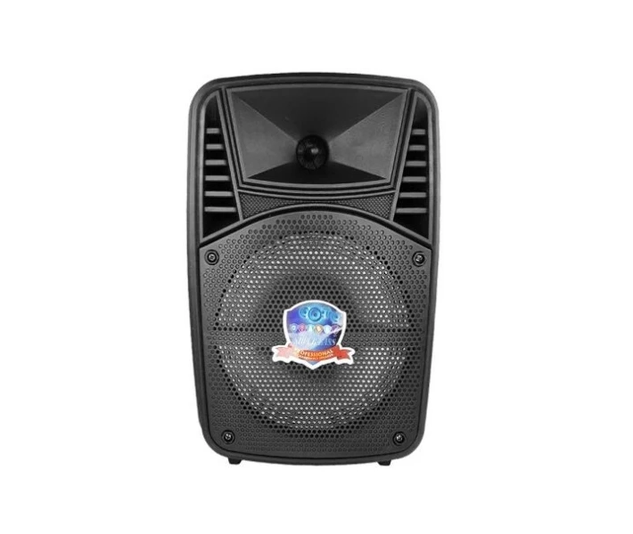 Фото - портативную колонку Колонка Big PK-07 bluetooth + микрофон (248*189*371) USB/MO3/FM/TWS black (070702)