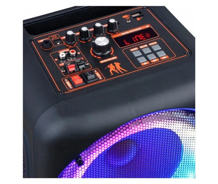 Портативная колонка BIG JBX-828 150Вт, два радио микрофона