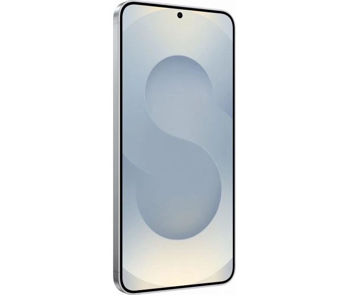 Фото - смартфон и мобильный телефон Термінал Samsung Galaxy S25+ 12/512GB Silver(SM-S936BZSGEUC)