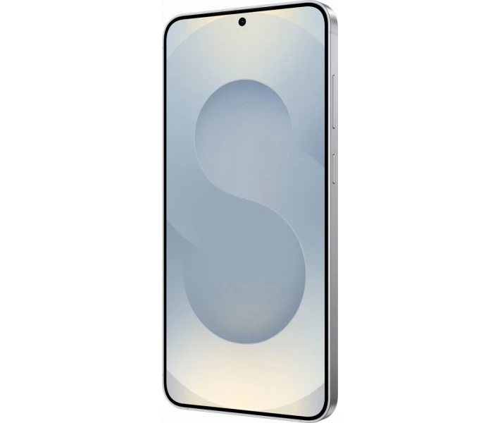Фото - смартфон и мобильный телефон Термінал Samsung Galaxy S25+ 12/512GB Silver(SM-S936BZSGEUC)