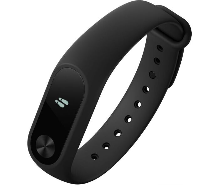 Xiaomi smartwatch 2025 band 2