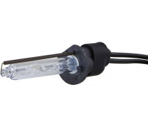 Купить - ксенон  Лампа ксенона Infolight H1 6000K +50%