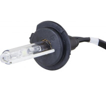 Купить - ксенон  Лампа ксенона Infolight H7 6000K 50W