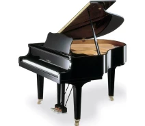 Купить - рояль  Акустический рояль YAMAHA GC1 PE