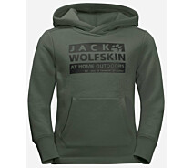 Купить - детское худи  Толстовка Jack Wolfskin BRAND HOODY K 152 (4060477945910)