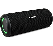 Купить - портативную колонку  Акустика TOSHIBA TY-WSP201