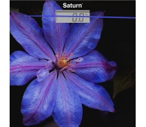 Купить - напольные весы  Напольные весы Saturn ST-PS0287