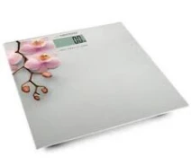 Купить - напольные весы  Напольные весы Esperanza Scales EBS010