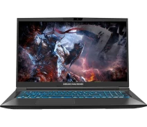 Купить - ноутбук  Ноутбук Dream Machines RG3060-17 (RG3060-17UA38)
