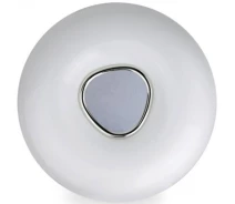 Купить - светильник потолочный  Потолочный светильник Feron AL5320 SPHERA 60W (41022)