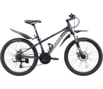 Купить - велосипед и аксессуар  Велосипед Rover Favorit 24"12.5" 2019 Matt Grey/Grey Blue