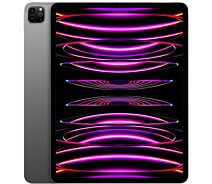 Купить - планшет  Планшет Apple iPad Pro 12.9" 2022 WiFi+Cellular 512GB Space Grey (MP223)