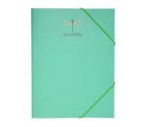 Купить -  Папка на резинках FAVOURITE PASTEL А4 мятная (BM395438)