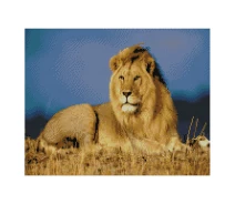 Купить - алмазную мозаику  Алмазная мозаика. Strateg FA10001 Царь зверей 40х50 см