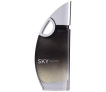 Купить - мужскую парфюмерию  Туалетная вода для мужчин Sky 100 мл (MM40106)