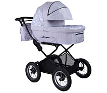 Купить - детскую коляску  Коляска BabyHit 2 в 1 Evenly Grey (13475)