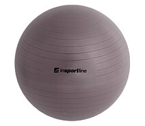Купить - мячик  Гімнастичний м'яч inSPORTline Top Ball 65 cm - сірий
