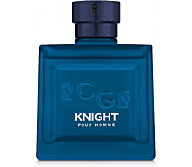 Купить - женскую парфюмерию  Туалетная вода Christian Gautier Knight Pour Homme 100 мл (8885009979906)