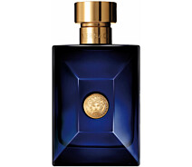 Купить - женскую парфюмерию  Туалетная вода Versace Pour Homme Dylan Blue тестер 100 мл (8011003825769)