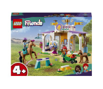 Купить - детский конструктор  Конструктор LEGO Тренировка лошади 134 деталей (41746)