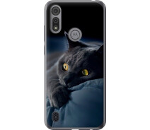 Купить - чехол для смартфона  Чехол на Motorola E6i Дымчатый кот